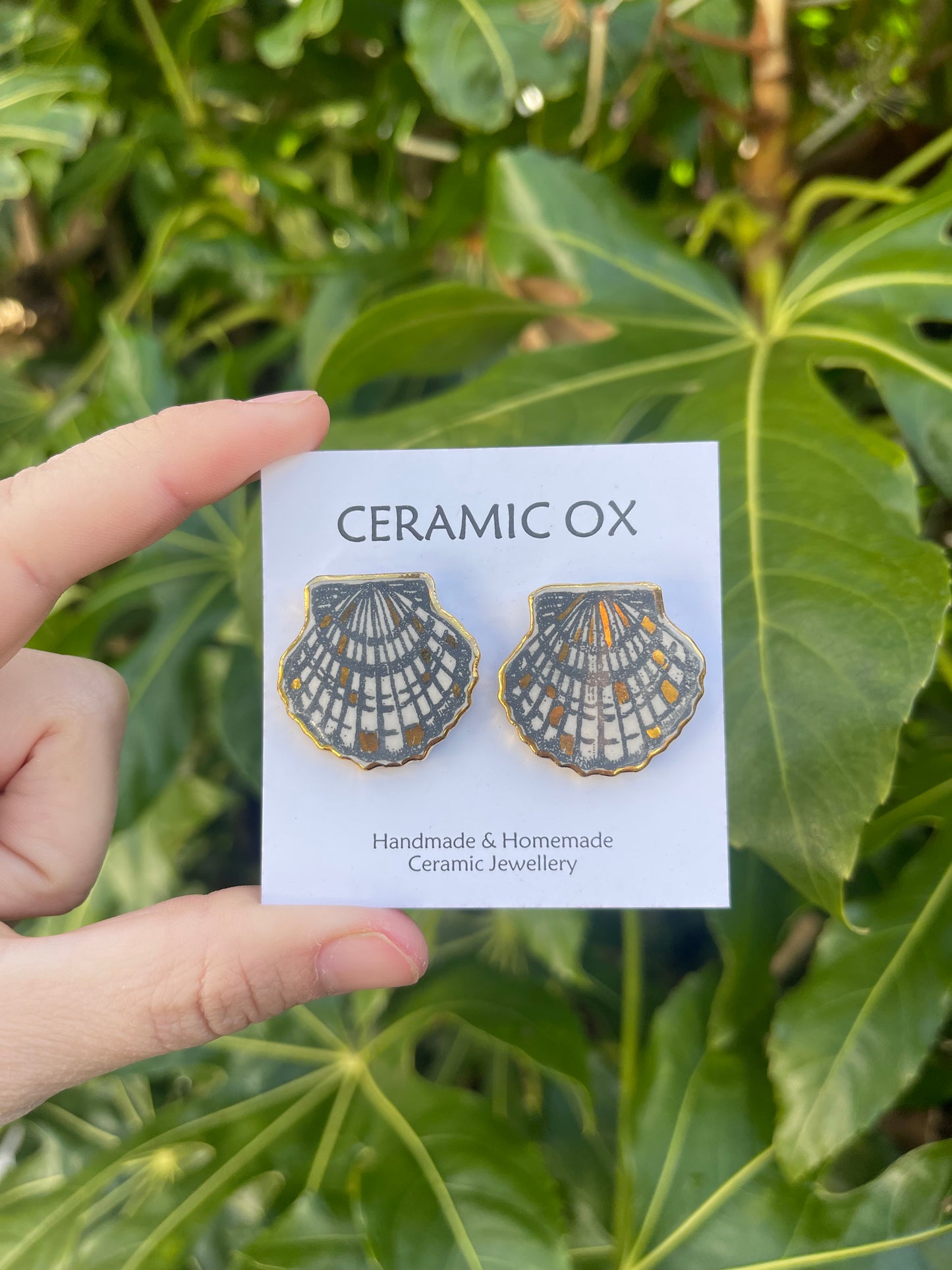 Scallop Shell studs