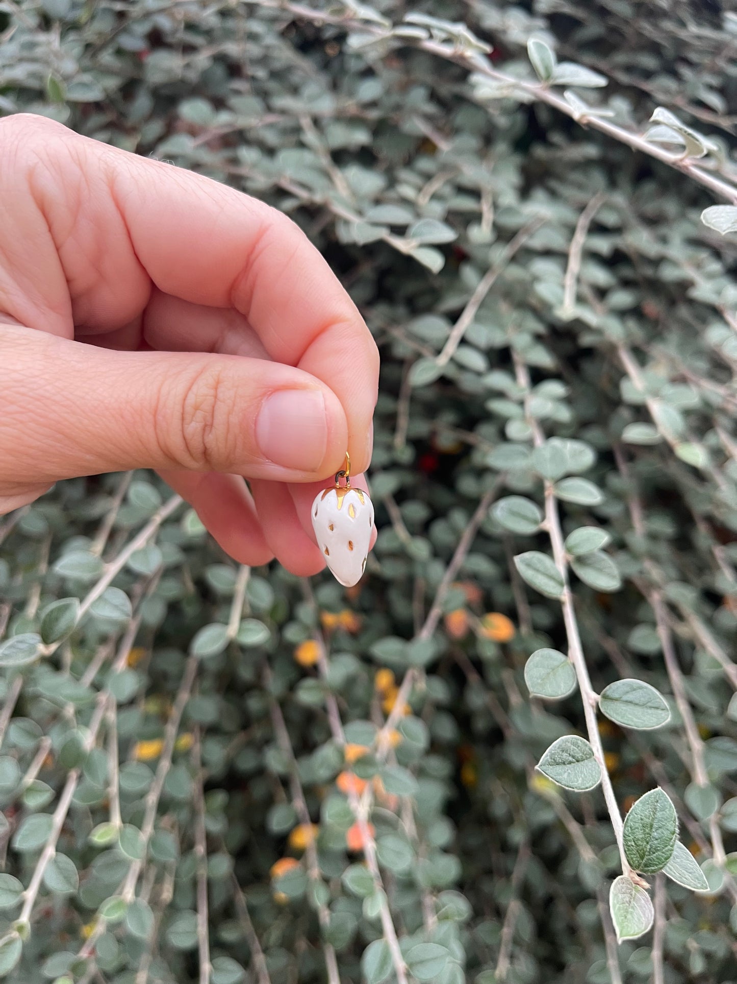 Strawberry charm white