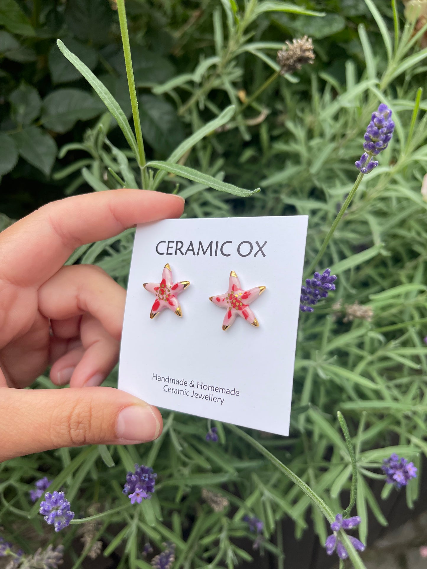 Pink/red starfish