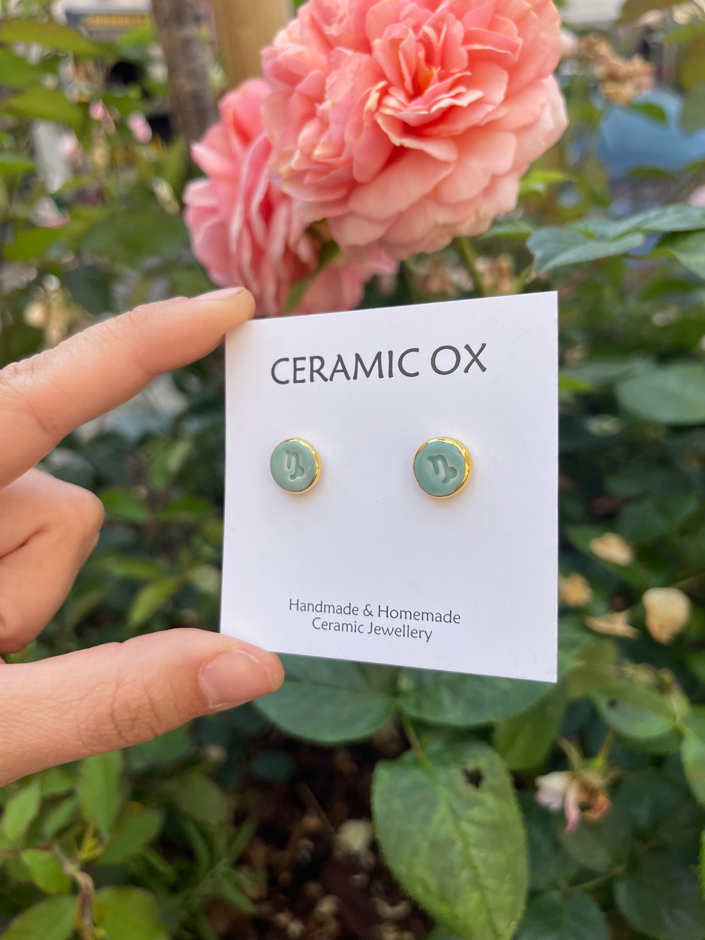 Horoscope ‘Capricorn’ studs