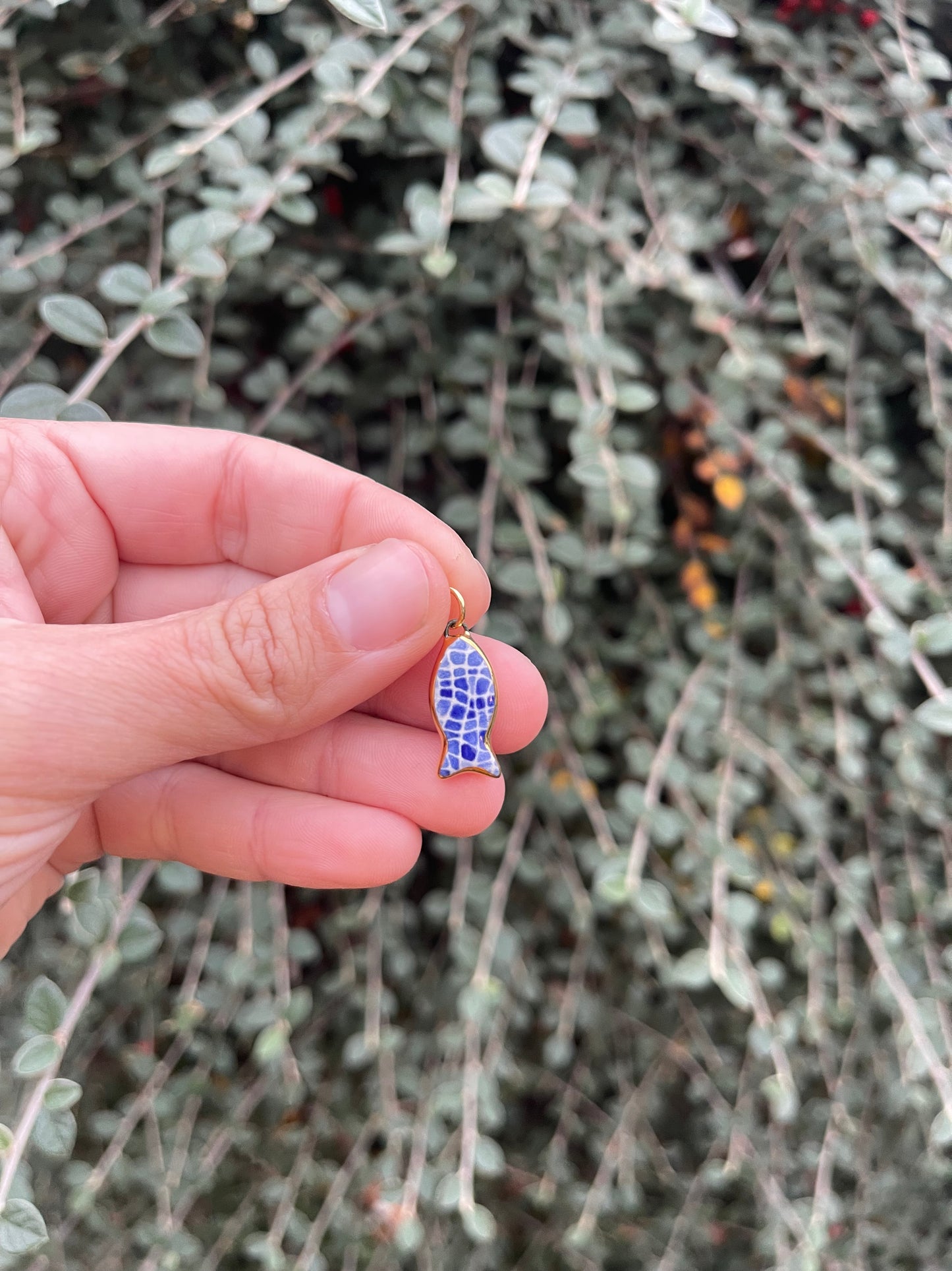 Watercolour fish charm