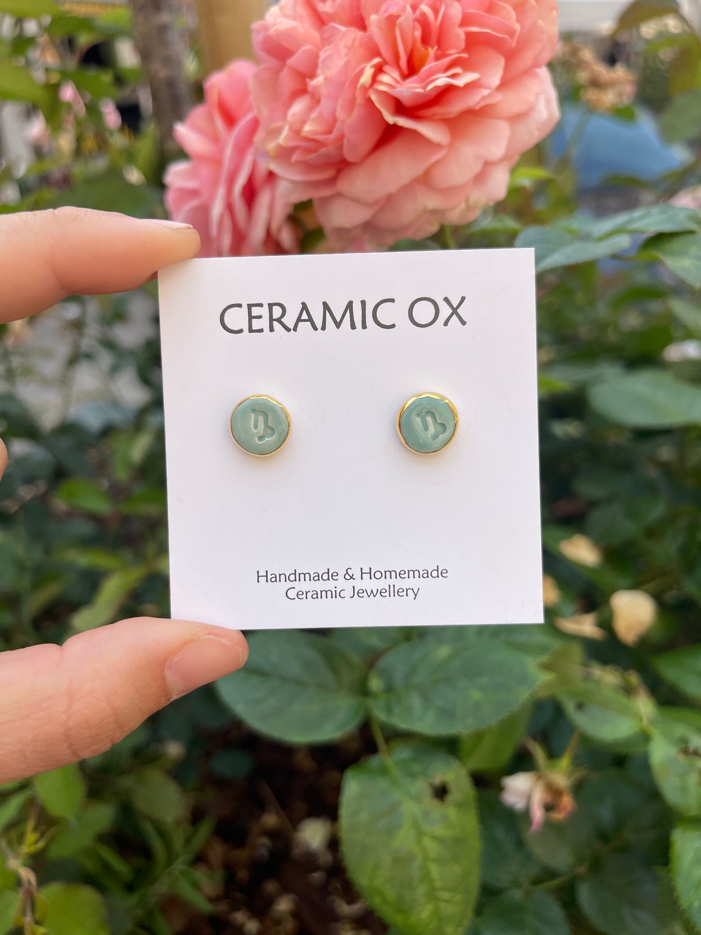 Horoscope ‘Capricorn’ studs