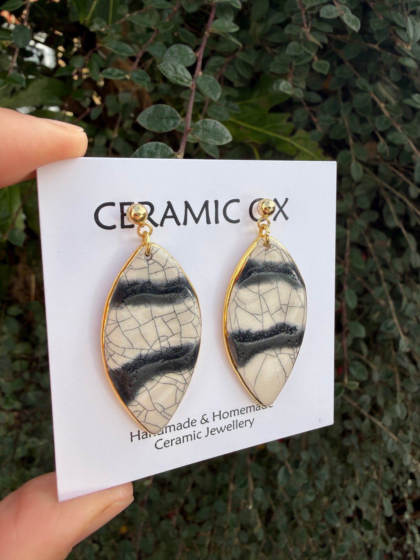 Black/crackle leaf drops