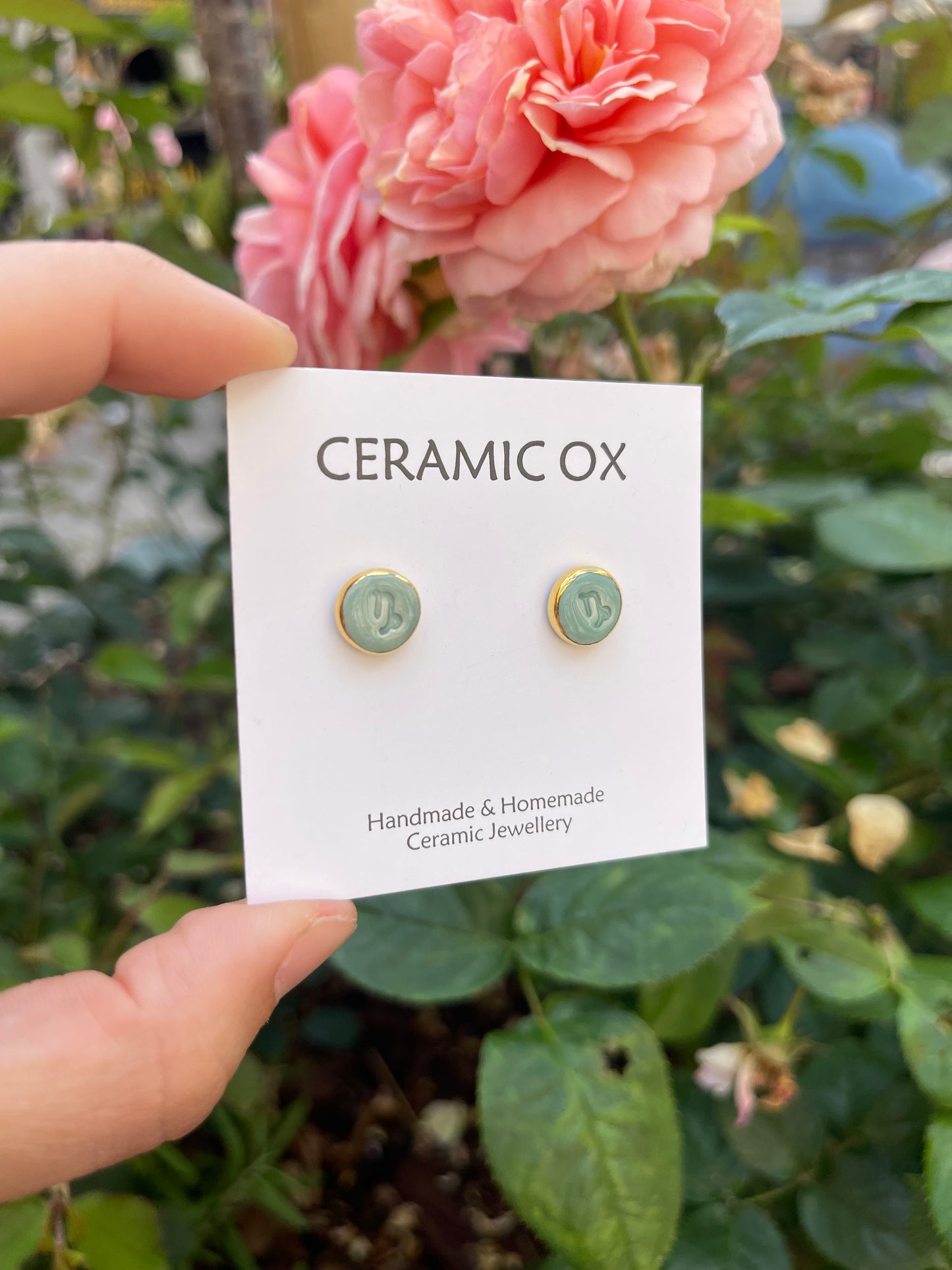 Horoscope ‘Capricorn’ studs